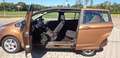 Ford B-Max B-MAX 1.0 EcoBoost Trend Tüv Bis 06.2027 Brun - thumbnail 10