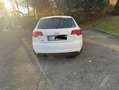Audi A3 1.6 Ambiente Weiß - thumbnail 3