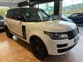 Land Rover Range Rover 3.0 tdV6 Vogue auto Bianco - thumbnail 3