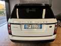 Land Rover Range Rover 3.0 tdV6 Vogue auto Bianco - thumbnail 5