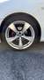 Alfa Romeo GT 1.9 jtdm Quadrifoglio Verde 170cv - thumbnail 7