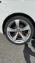 Alfa Romeo GT 1.9 jtdm Quadrifoglio Verde 170cv - thumbnail 10