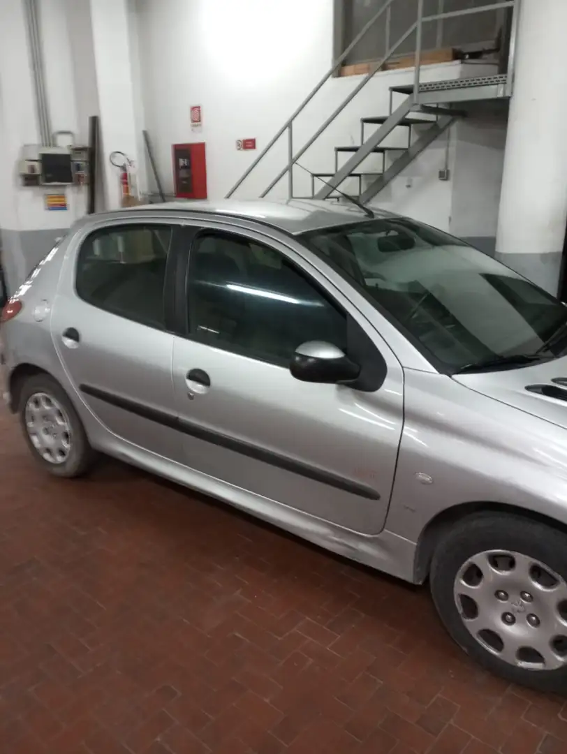 Peugeot 206 Enfant Terrible - 2