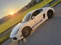 Porsche Cayman S 3,4 DSG - thumbnail 4