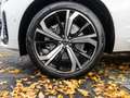 Volvo XC60 T6 Twin Engine AWD R Design Plug-In Pano 360Grad S Weiß - thumbnail 7