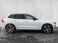 Volvo XC60 T6 Twin Engine AWD R Design Plug-In Pano 360Grad S Weiß - thumbnail 5