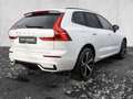 Volvo XC60 T6 Twin Engine AWD R Design Plug-In Pano 360Grad S Weiß - thumbnail 4