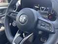 Alfa Romeo Tonale 1.3 VGT Plug-In-Hybrid Q4 Edizione Speciale Rot - thumbnail 17