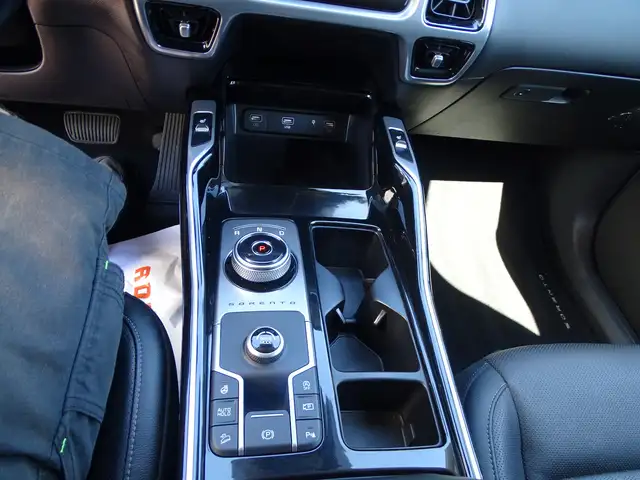 Kia Sorento view 15