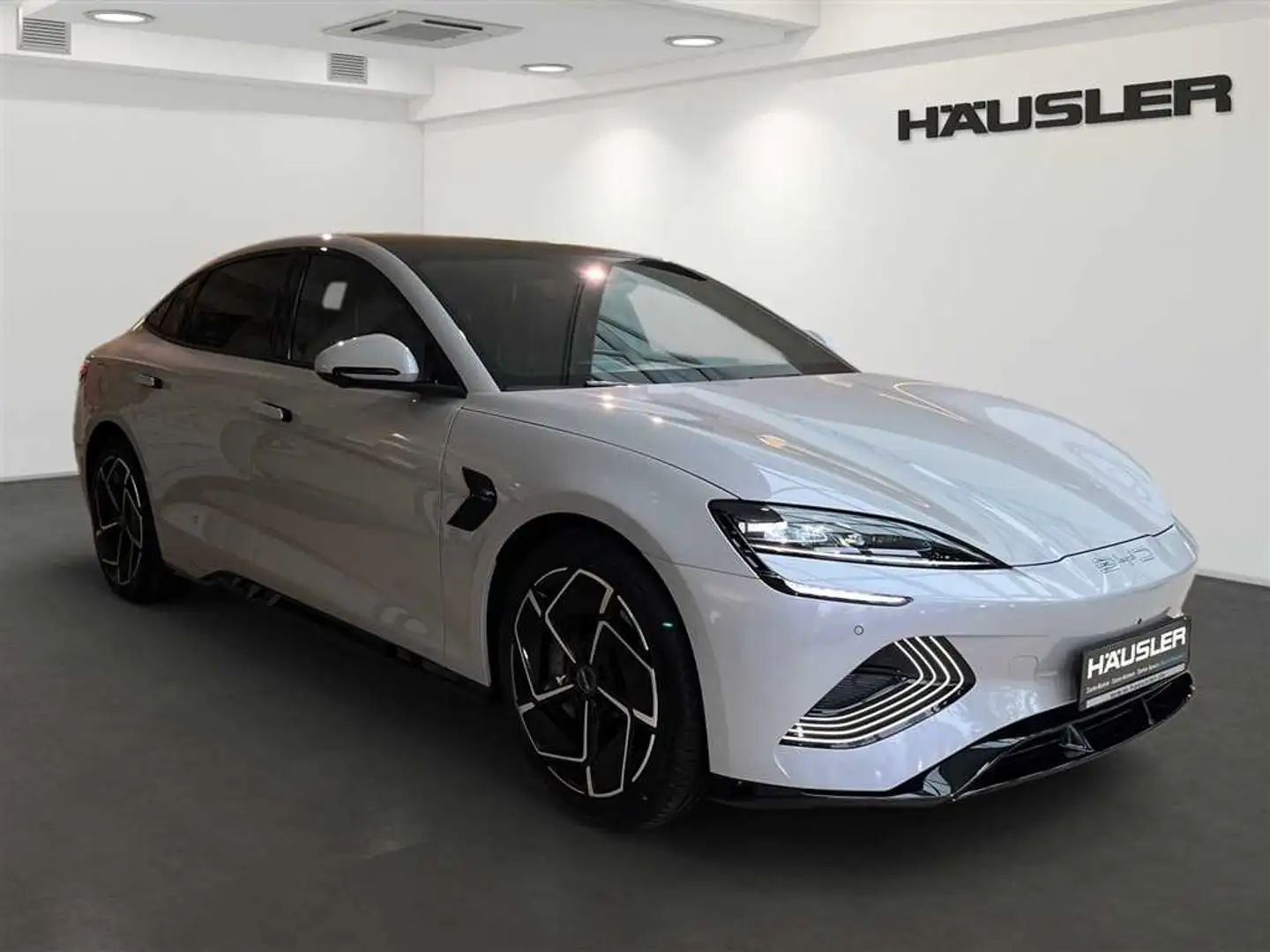 BYD Seal DESIGN Leder 360°Kamera elektr. Heckklappe Gri - 2