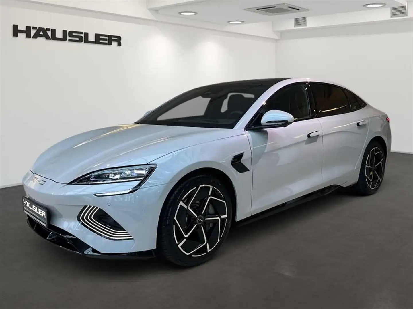 BYD Seal DESIGN Leder 360°Kamera elektr. Heckklappe Gri - 1