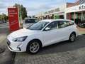 Ford Focus Turnier 1.0 EcoBoost Start-Stopp-System Weiß - thumbnail 1