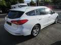 Ford Focus Turnier 1.0 EcoBoost Start-Stopp-System Weiß - thumbnail 3
