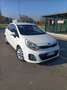 Kia Rio Kia Rio 5p 1.2 ECO GPL Collection Wit - thumbnail 1