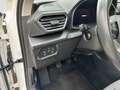 SEAT Leon 1.0TSI Style LED Navi CAM Sitzh APP-Connect Weiß - thumbnail 13