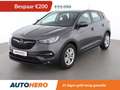 Opel Grandland X 1.2 Turbo Edition Grau - thumbnail 1