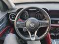 Alfa Romeo Stelvio ALFA ROMEO STELVIO 2.2 190CV B-TECH 87334-2019 Nero - thumbnail 14