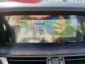 Alfa Romeo Stelvio STELVIO 2.2 EXECUTIVE Q4 210CV AUTO Blu/Azzurro - thumbnail 12