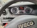 Iveco Daily 29 L 14 Weiß - thumbnail 4