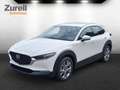 Mazda CX-30 2.5L e-SKYACTIV G 140ps 6AT Exclusive-line Weiß - thumbnail 1