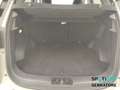 DR Automobiles DR4.0 1.5 Gpl 114cv Grau - thumbnail 18