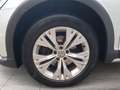 Volkswagen Passat Alltrack BMT 2,0 TDI SCR 4 Motion LED Bianco - thumbnail 6