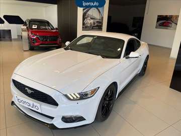 Fastback 2.3 ecoboost 309cv auto