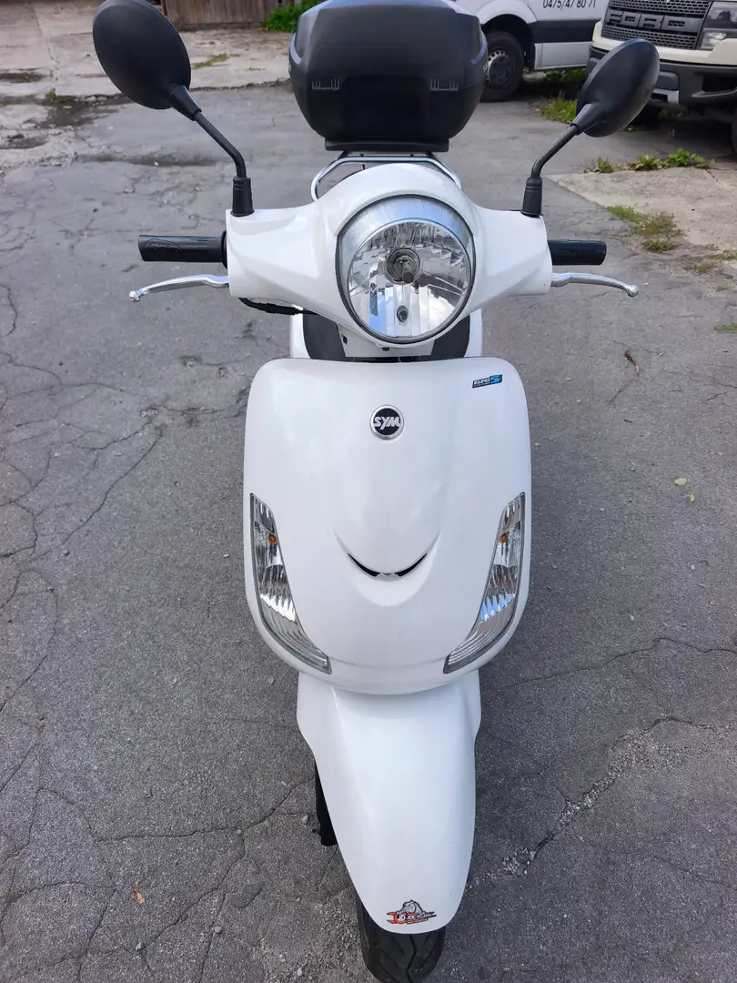 SYM Fiddle 50 Biały - 1