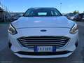 Ford Focus 1.5 EcoBlue 120CV SW ST Line Bianco - thumbnail 2