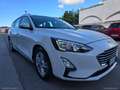Ford Focus 1.5 EcoBlue 120CV SW ST Line Bianco - thumbnail 1