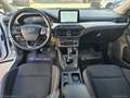 Ford Focus 1.5 EcoBlue 120CV SW ST Line Bianco - thumbnail 9