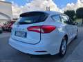 Ford Focus 1.5 EcoBlue 120CV SW ST Line Bianco - thumbnail 8