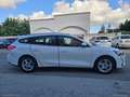 Ford Focus 1.5 EcoBlue 120CV SW ST Line Bianco - thumbnail 4
