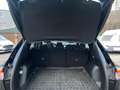 Ford Kuga 2,5 Duratec FHEV Titanium Aut. 4WD,* LED, ACC, AHK Schwarz - thumbnail 16