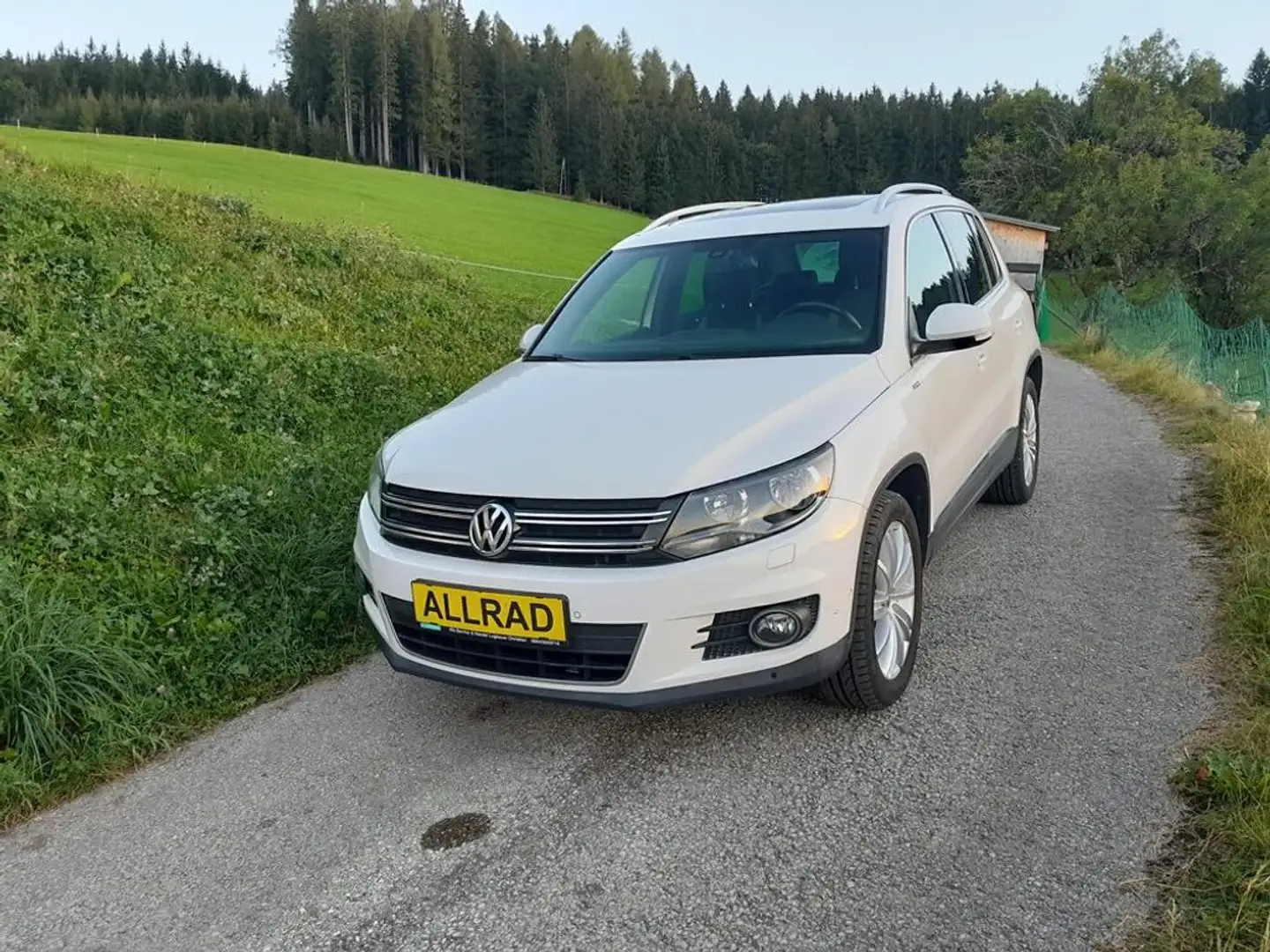 Volkswagen Tiguan Sky 4Motion Finanzierung ohne Anzahlung ! Blanc - 1