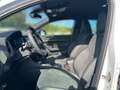 CUPRA Ateca 1.5 TSI LED Navi AHK Kamera 5J-Garantie Blanc - thumbnail 14
