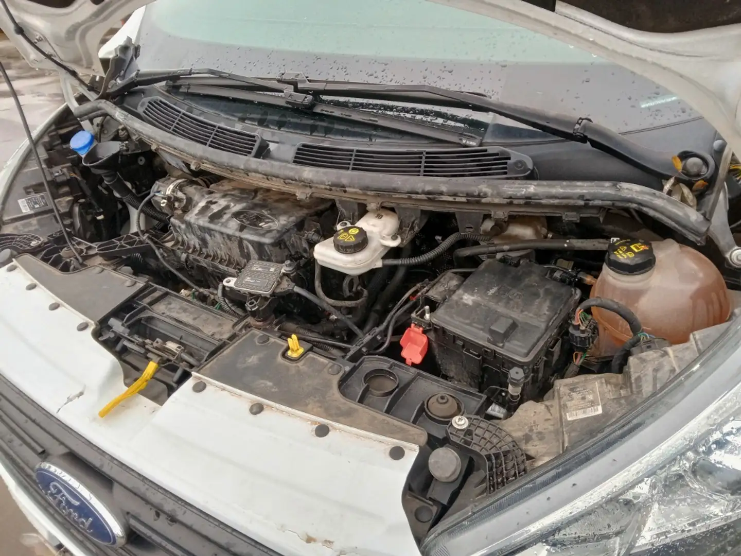 Ford Transit Custom FT 320 L1 Van Trend EcoBlue Hybrid Blanc - 2