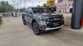 Ford Ranger 3.0 ecoblue doppia cabina Platinum awd 240cv auto Gris - thumbnail 1