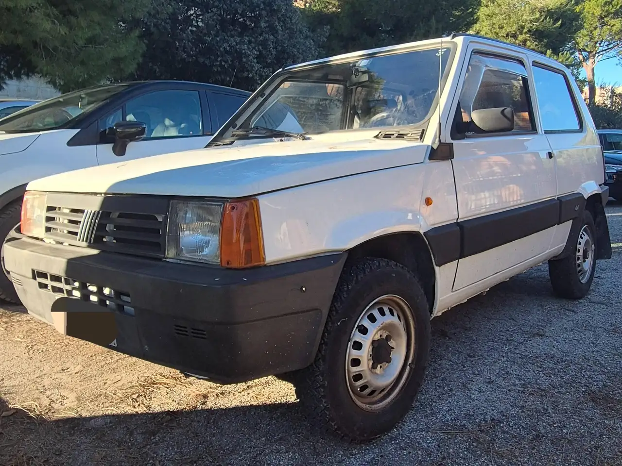 Fiat Panda Country 4x4, foto 1