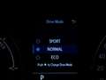 Toyota C-HR 1.8 Hybrid Business Plus | Adaptive Cruise | Camer Rood - thumbnail 25