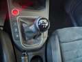 SEAT Ibiza Ibiza 1.0 EcoTSI 95 CV 5 porte FR Blanco - thumbnail 19