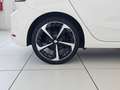 SEAT Ibiza Ibiza 1.0 EcoTSI 95 CV 5 porte FR Bianco - thumbnail 8