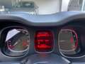 Fiat Panda Panda  1.0 firefly hybrid City Life Prezzo Libero Grigio - thumbnail 11