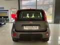 Fiat Panda Panda  1.0 firefly hybrid City Life Prezzo Libero Grigio - thumbnail 5
