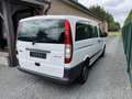 Mercedes-Benz Vito vito 109 cdi minibus. 9 plaatser. handel/ export Wit - thumbnail 12