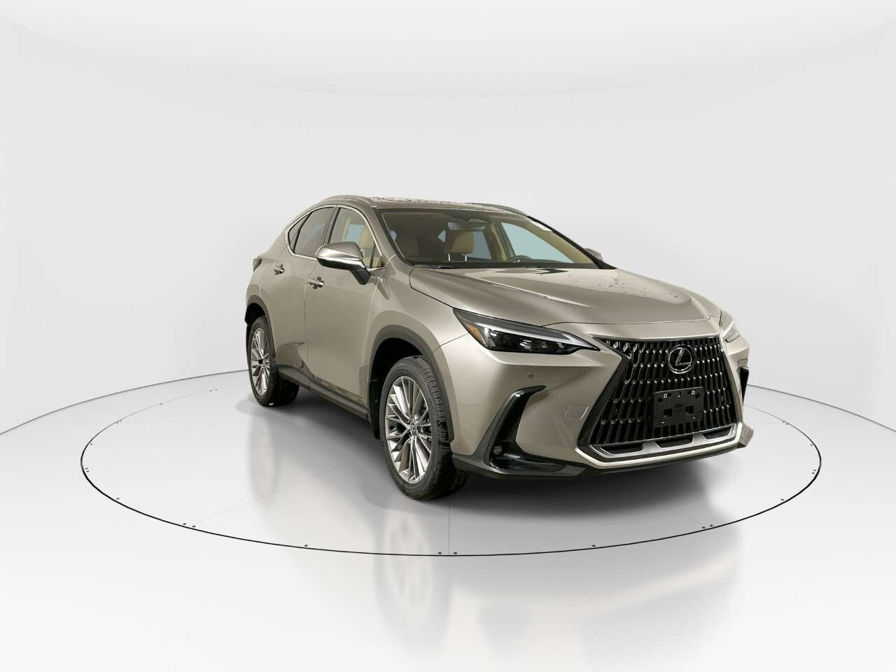 2026 Lexus NX NX 350 AWD INCLUDES CARGO LINER, BLACKOUT BADGES,