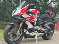 Ducati Panigale V4 Tricolore 2025 - thumbnail 7