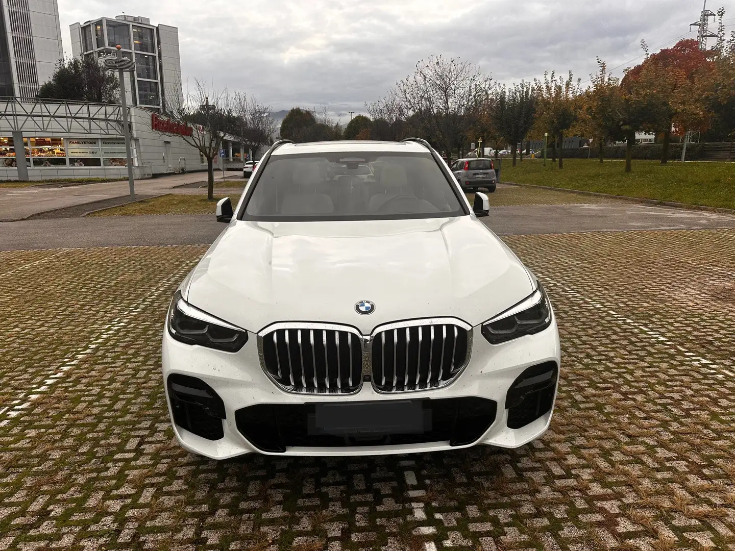 BMW X5 X5 Xdrive30d mhev 48V Msport auto Bianco - 2