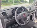 Fiat Scudo 2.0 BlueHDi **180CV**AUTOMATICO PL-TN N°GN645 Bianco - thumbnail 12