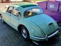 Jaguar Daimler 250 V8 großes Faltdach , H Kennzeichen Grün - thumbnail 2